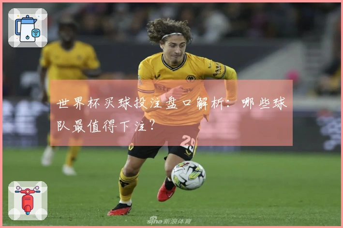 世界杯买球投注盘口解析：哪些球队最值得下注？