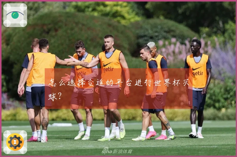怎么选择合适的平台进行世界杯买球？