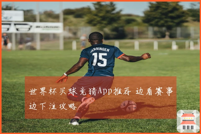 世界杯买球竞猜App推荐 边看赛事边下注攻略
